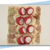 Dragonfruit & Hibiscus - Image 2